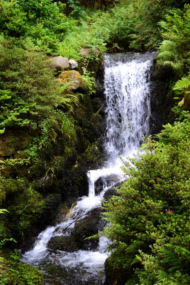 Water landscape river photo