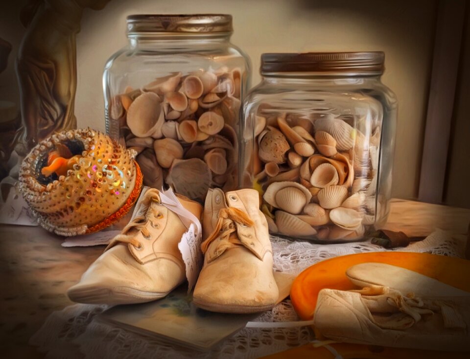Container brown shoes