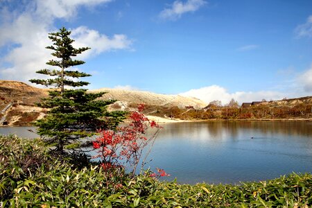 Autumn autumnal leaves gunma