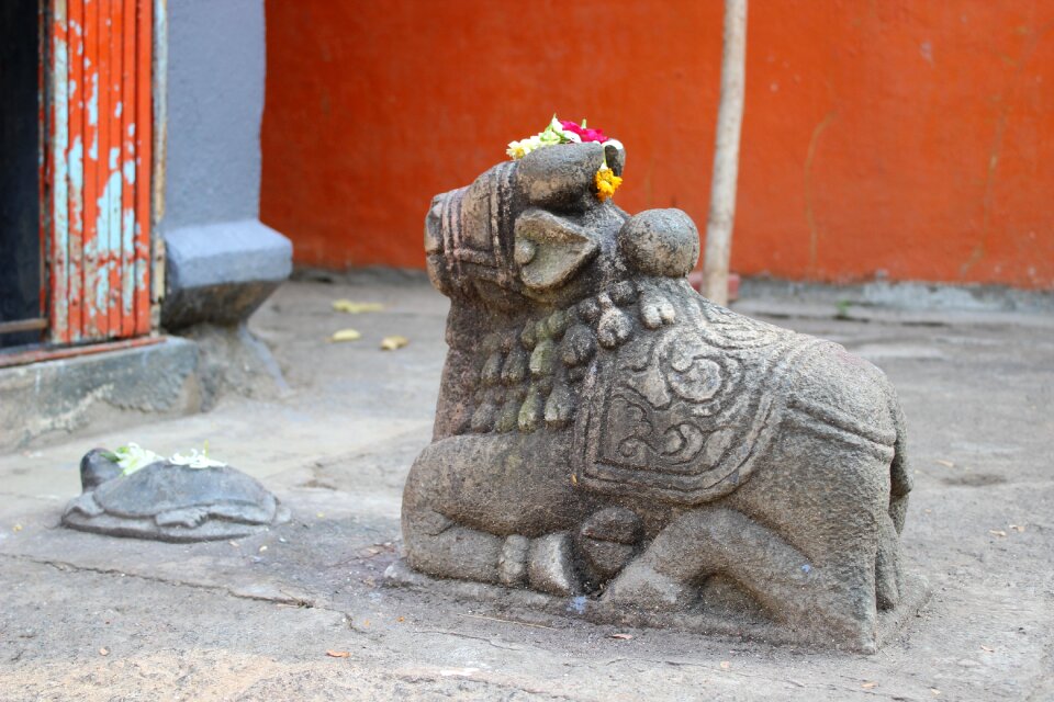 Indian sacred animal