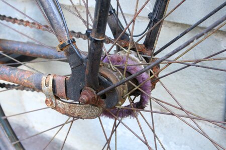 Bicycle spoke spokes rear wheel photo
