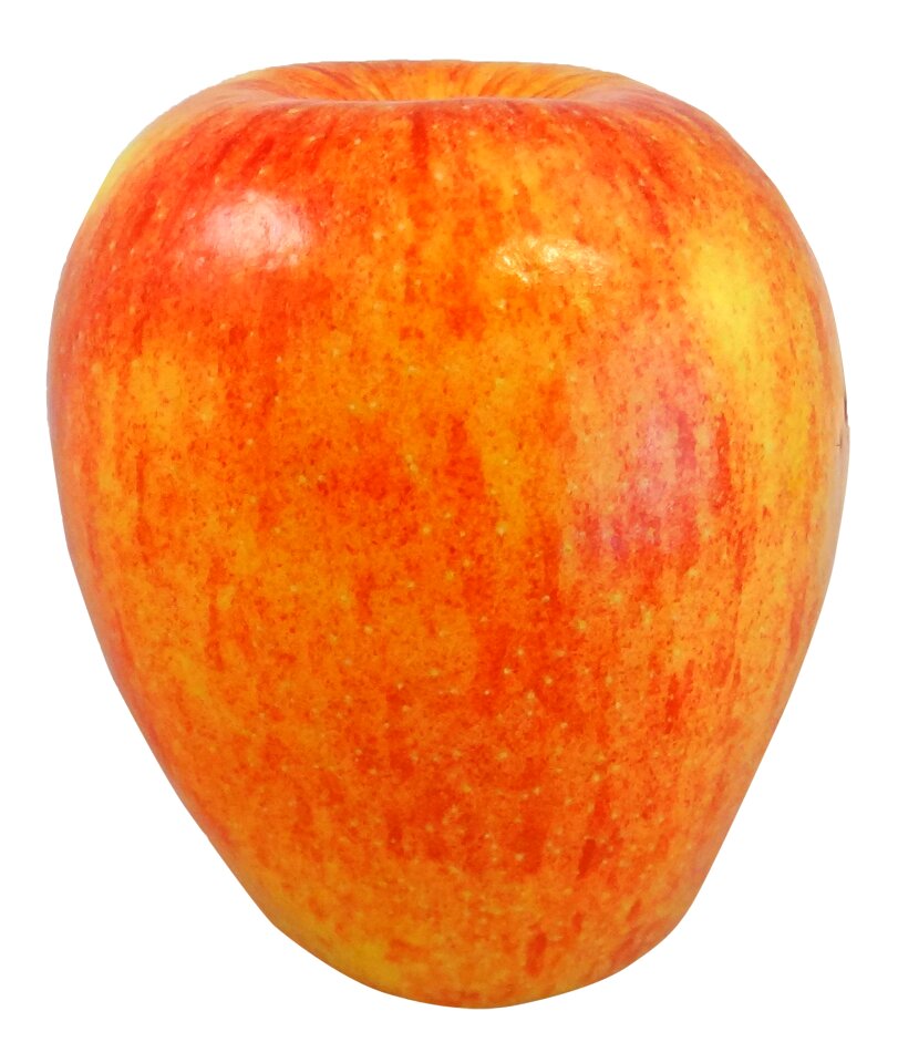 Food orchard orange apple