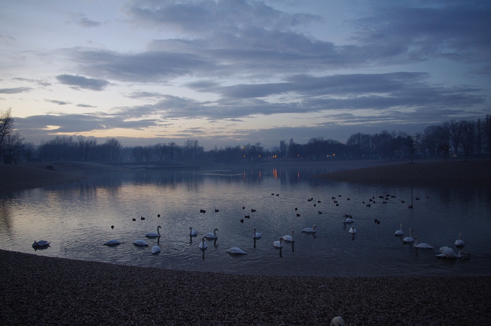 Darkness dawn water