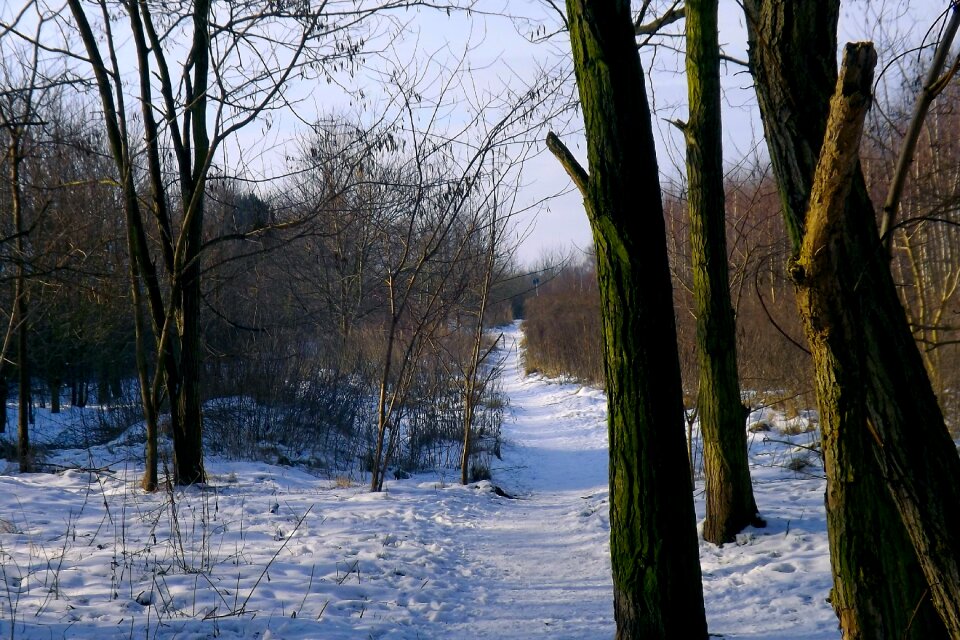 Winter wintry cold