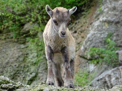 Sweet small baby photo