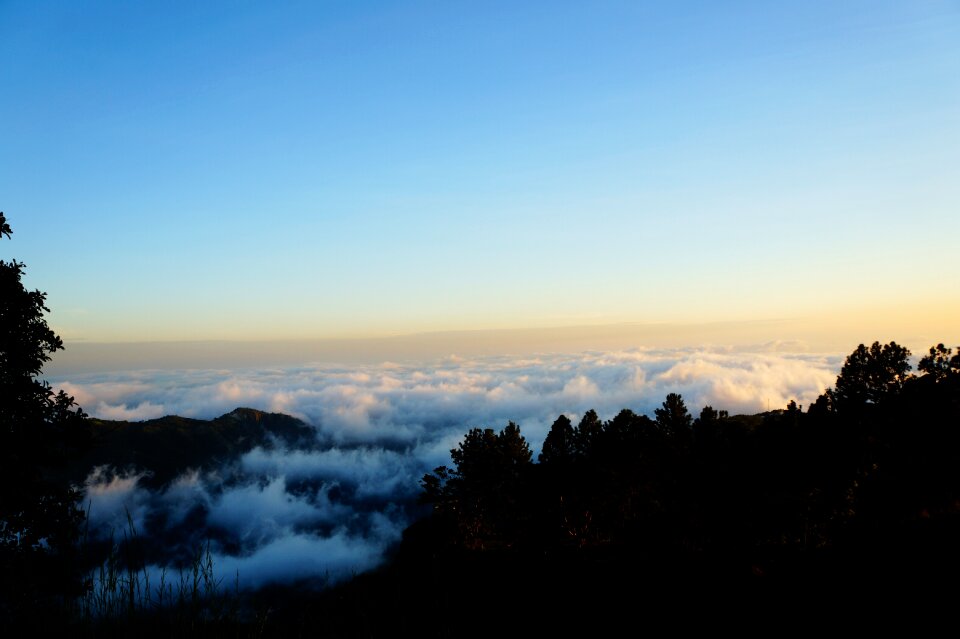 Blue blue sky silhouettes