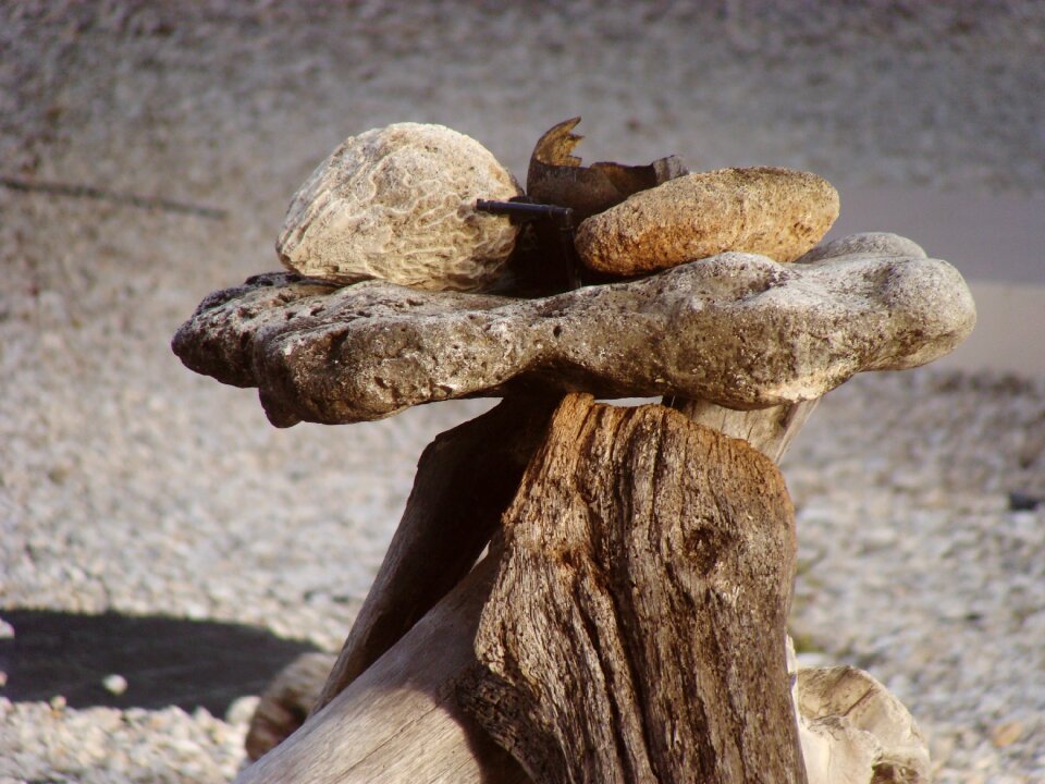 Still life bonaire wood