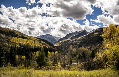 Fall autumn leaves photo