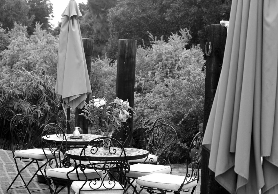 In black and white cafe summer
