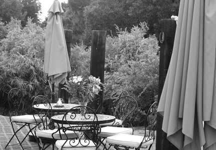 In black and white cafe summer photo