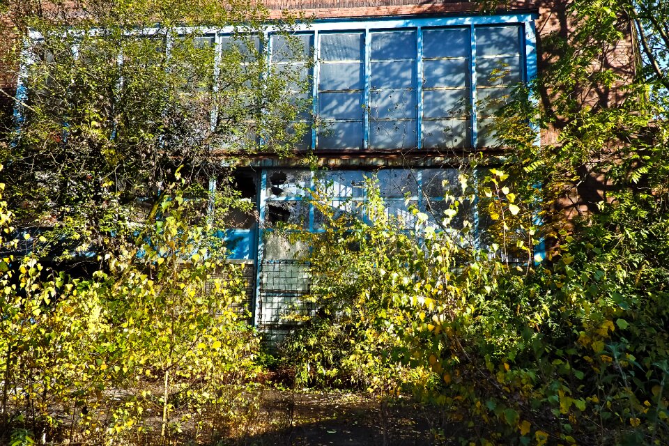 Abandoned industrial building lapsed