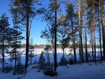 Winter landscape freezing finland photo