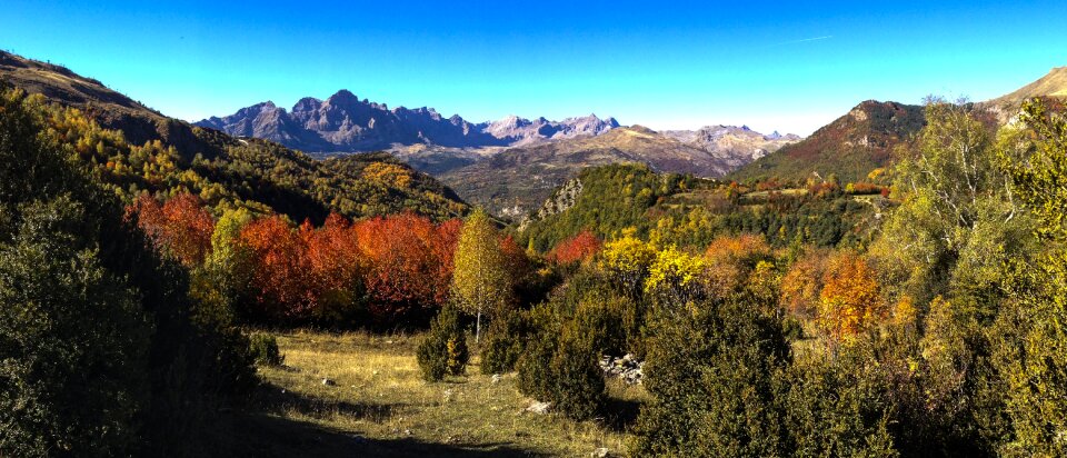 Nature forest huesca