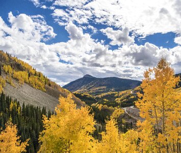 Fall autumn leaves photo