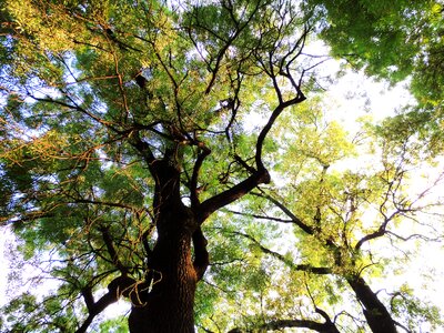 Park holidays nature