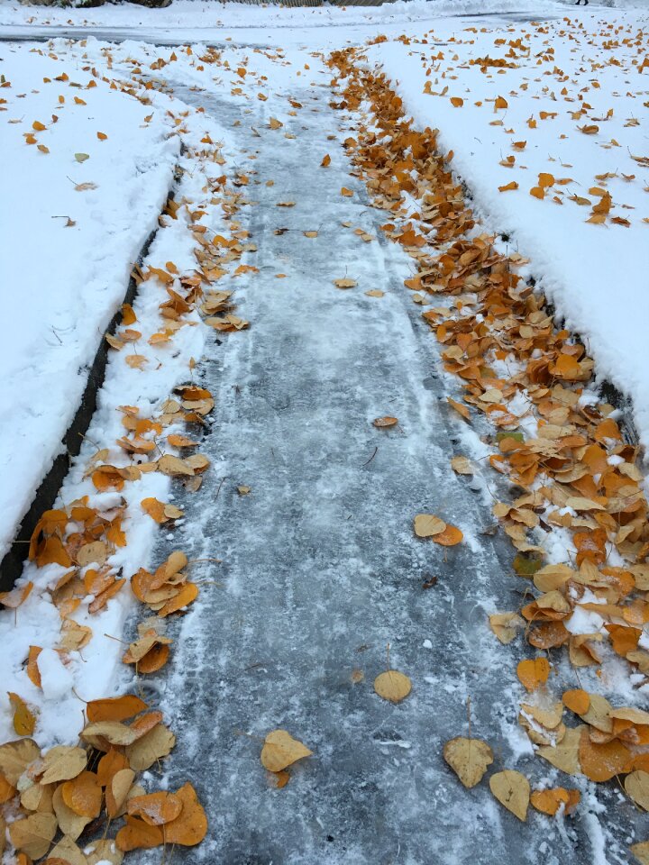 The nature of the snow coldness