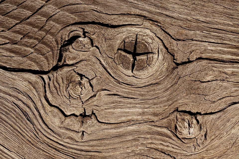 Detail hardwood knotted