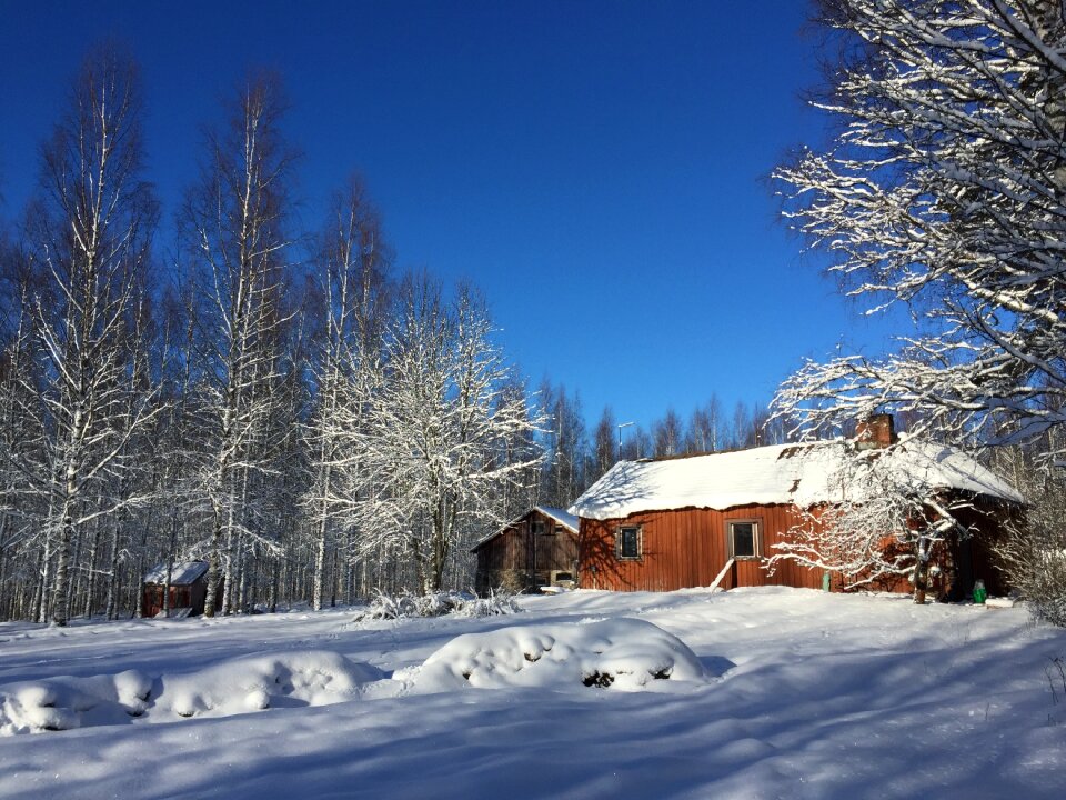 Blue sky snowy blue skies