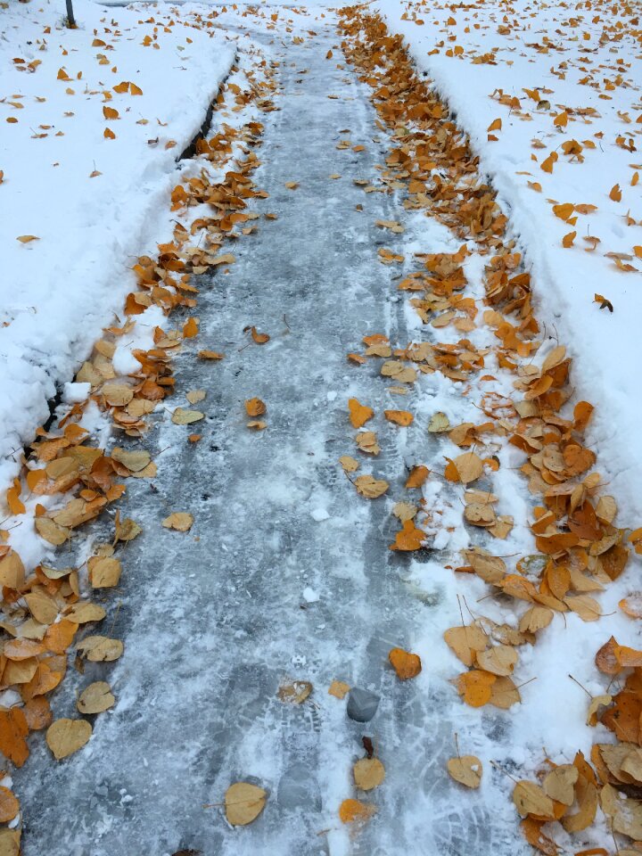 Autumn norway outdoors