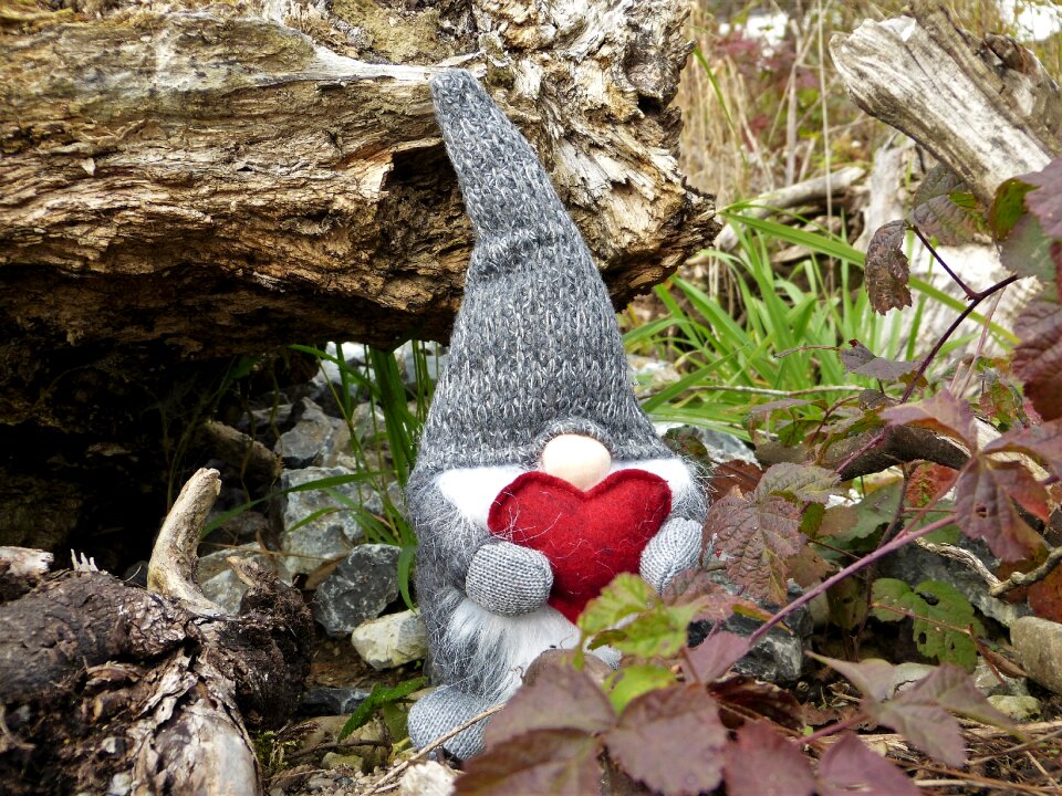 Kobold fairy tales heart