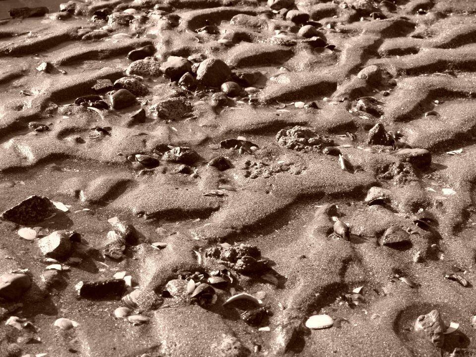 Beach beach sand
