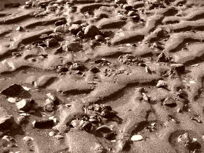 Beach beach sand