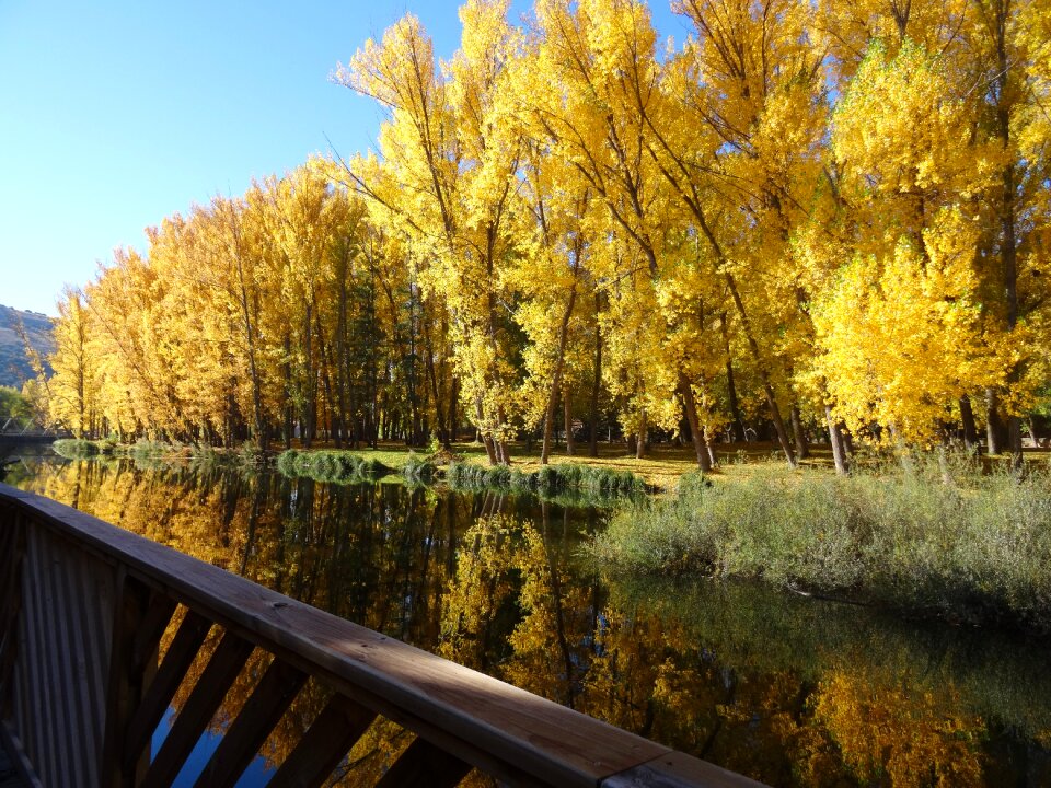 Spain river reflection