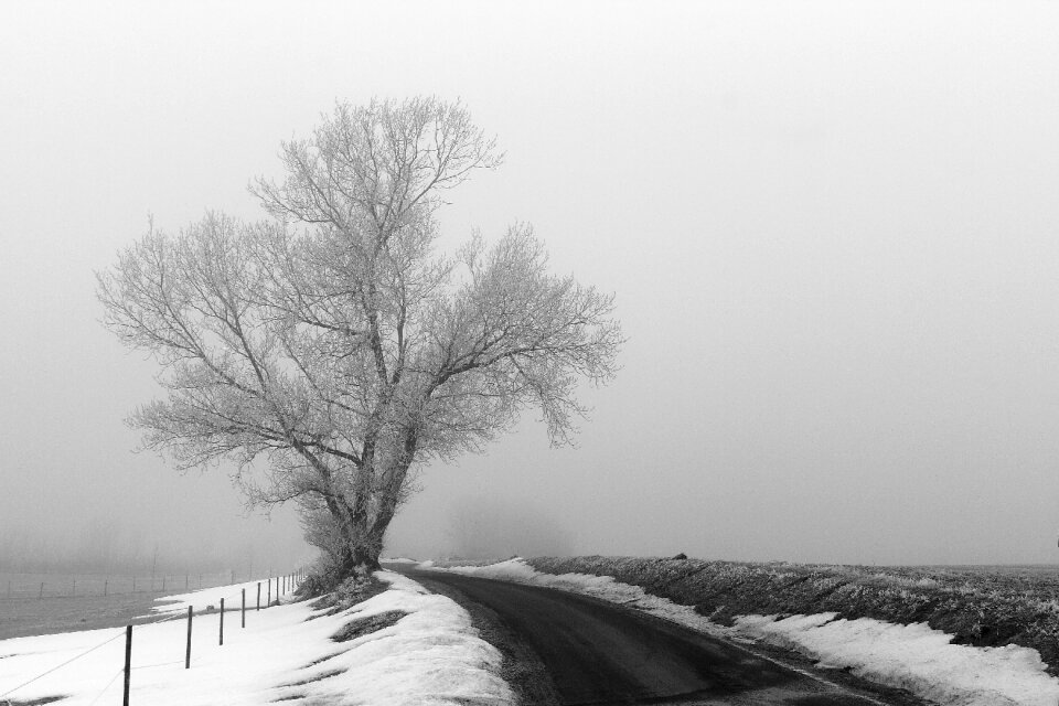 Rim frost landscape