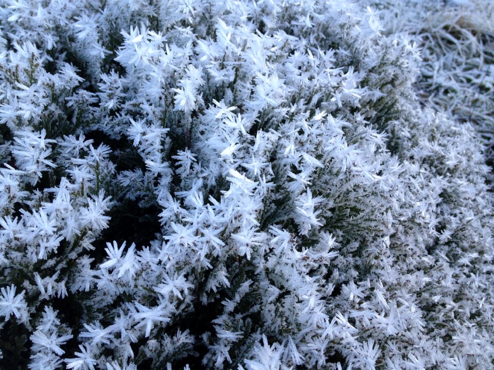 December christmas snowflakes