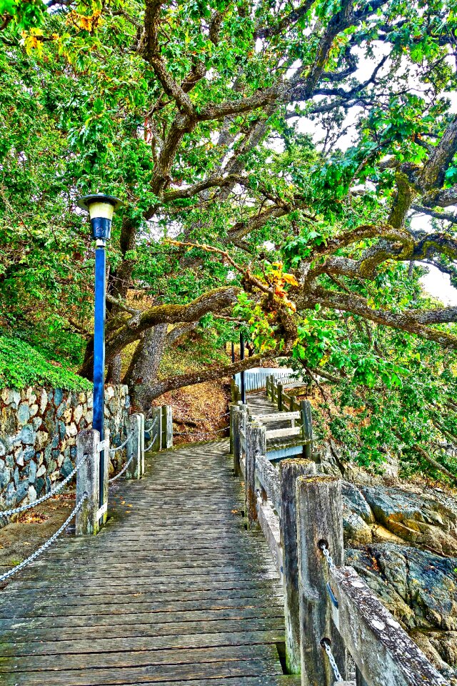 Outdoor footpath pathway