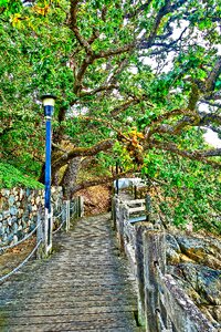 Outdoor footpath pathway photo