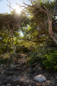 Australia nature landscape