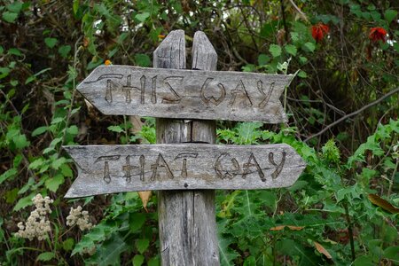 Wooden sign direction