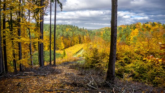 Autumn park nature