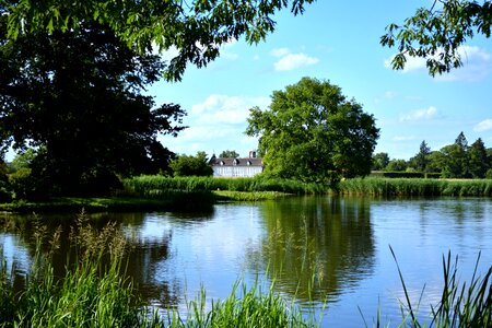 Landscape water plant photo