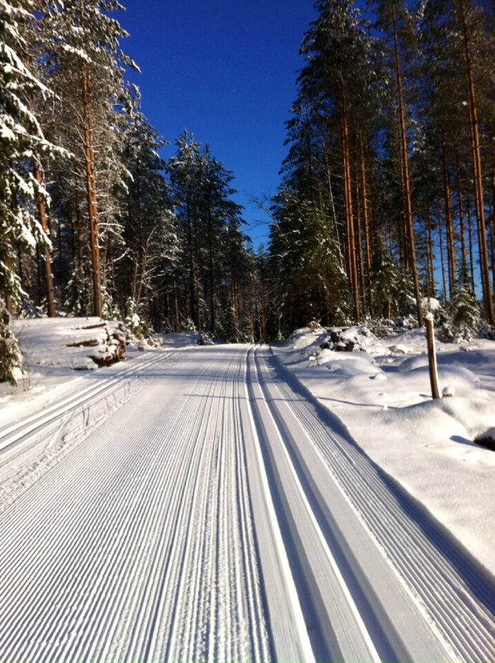 Blue sky winter landscape snowy