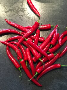 Eat pepper crop red pepper photo