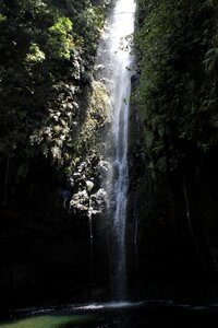 Mysterious madeira water photo