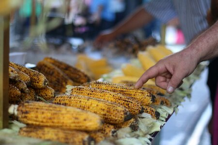 The peddler hawker selection photo