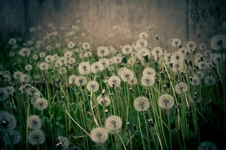 Mood nature background