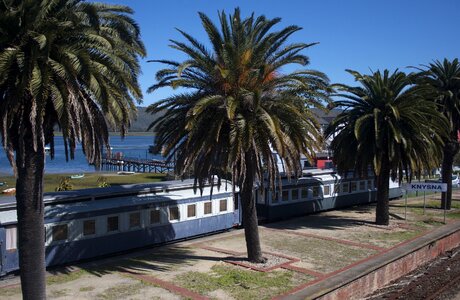 South africa classic trains transport