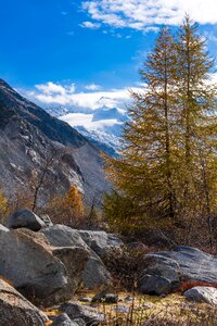 Fall color golden autumn engadin photo