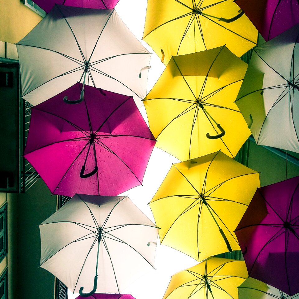 Arona colors yellow