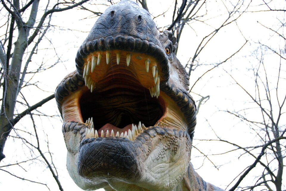 Dinosaur teeth monza park