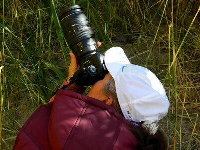 Photo artist photos of nature from nature