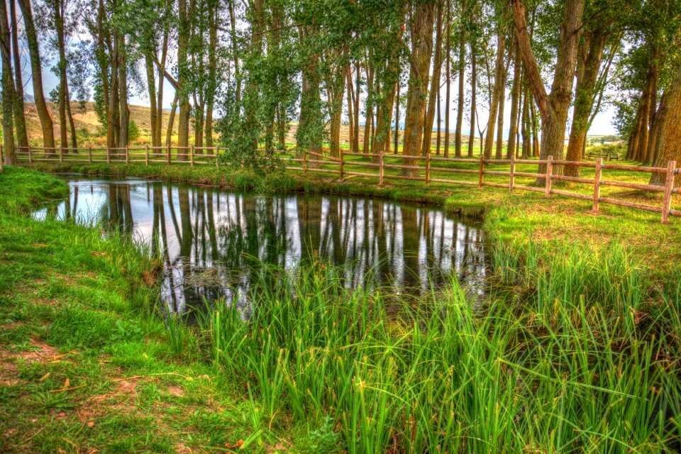 Eyelet park stillness
