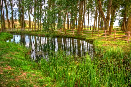 Eyelet park stillness