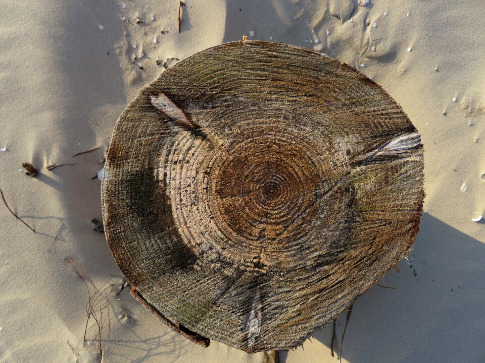 Tribe structure sawed off