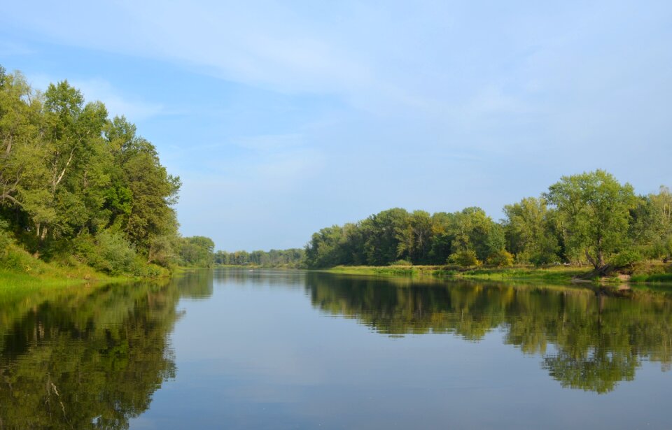 Nature samara summer
