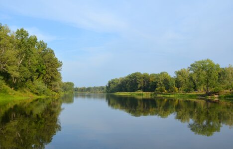 Nature samara summer